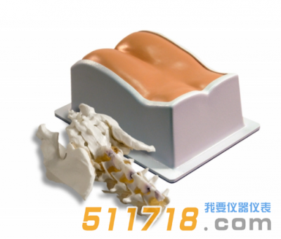 美國CIRS 034腰椎穿刺訓練模體