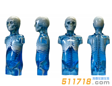 美國CIRS 715兒科全身體模