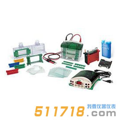 美國伯樂Bio-Rad 1658033垂直電泳轉印系統套裝