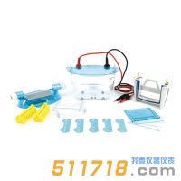 北京六一 DYCZ-24K、DYCZ-24KS型雙板垂直電泳儀