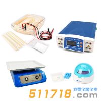 北京六一 泳強(qiáng)快速蛋白電泳檢測(cè)系統(tǒng)