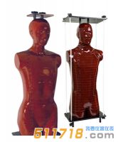 美國RSD Alderson 放射治療 (ART) 模體