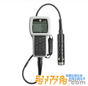 美國YSI 556MPS型多參數水質測量儀