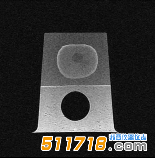 1534989827203988.png 美國CIRS 053S 053L 053L-EF前列腺MRI測試體模5.png