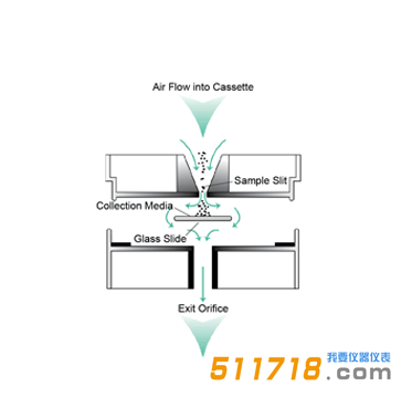 1641800945776084.png 1.png